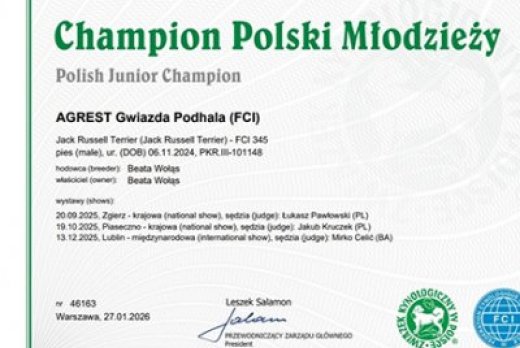 Młodzieżowy Champion Polski